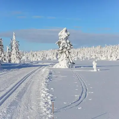 Three-Bedroom Holiday Home In Sjusjoen