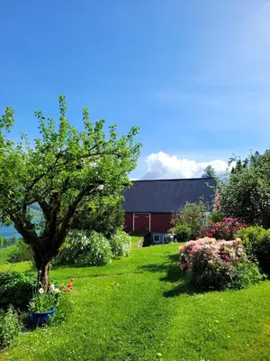 a green yard with a tree and flowers and a barn at Irenegarden - Panorama apartment in Lauvstad