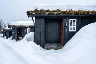 a house covered in snow with a plant on the roof at Bitigrenda L in Beitostøl
