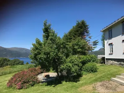 a tree in a yard next to a house at Landlig idyll med fjordutsikt in Valsøybotn