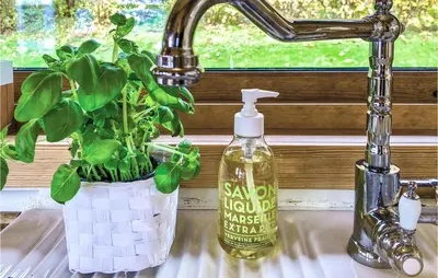 a sink with a bottle of soap and a plant at Gorgeous Home In Norheimsund With Wifi in Norheimsund