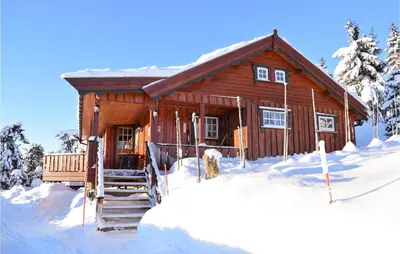 a log cabin in the snow with snow at Two-Bedroom Holiday Home In Sjusjoen in Sjusjøen