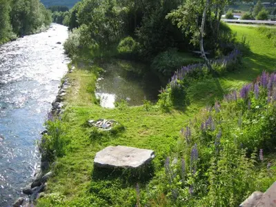 a bench in the grass next to a river with flowers at Røldal Hyttegrend & Camping in Røldal