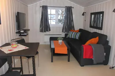 a living room with a black couch and a table at Haglebu Feriesenter in Eggedal