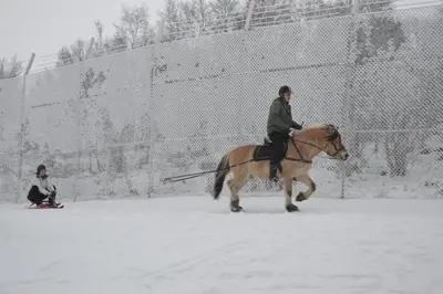 a man riding a horse in the snow at Langedrag Naturpark in Tunhovd