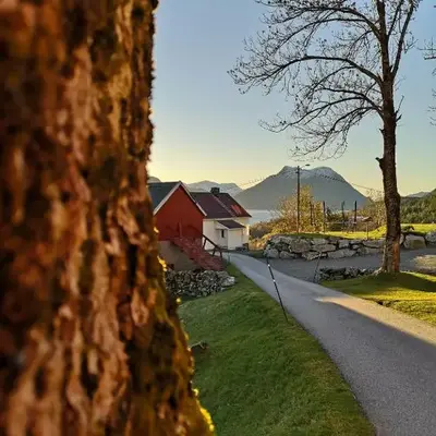 Fjords view