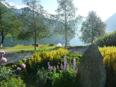 a garden of flowers with mountains in the background at Mindresunde Camping in Mindresunde