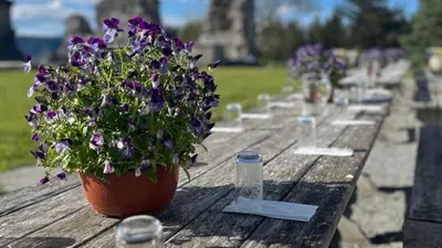 a wooden table with purple flowers in a pot on it at Klostergården Bed & Breakfast in Tautra