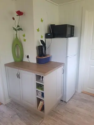 a kitchen with a refrigerator and a table with a vase at Lille Villa Severin in Mosterhamn