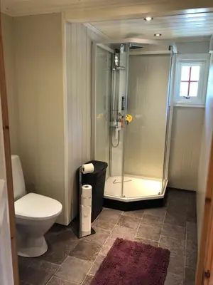 a bathroom with a shower and a toilet at Sjoaasen Hytte in Tuddal