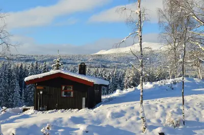 a small cabin in the snow with snow covered trees at Trysil Hyttegrend in Trysil