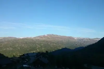 a view of a mountain with trees and mountains at Røldal in Røldal