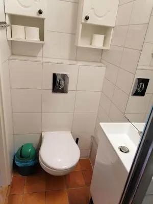 a small bathroom with a toilet and a sink at Sognevegen 2242 in Haugsvær