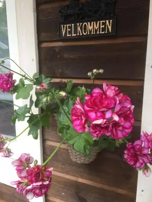 a basket of pink flowers on a door with a welcome sign at Frydenlund in Balestrand