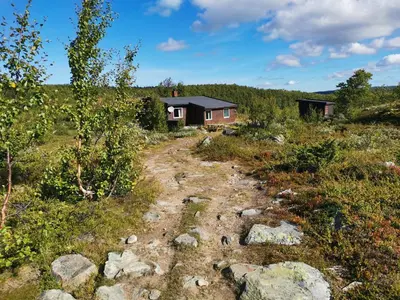 a dirt road leading to a house in a field at Hakkesetstølen Hytter in Geilo