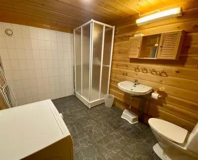 a bathroom with a shower and a toilet and a sink at Hakkesetstølen Hytter in Geilo