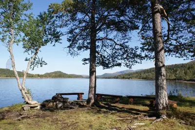 a picnic table between two trees next to a lake at Grønset Skysstasjon in Vinjeøra