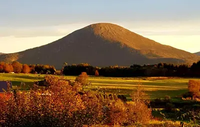 a mountain in the distance with a field and trees at Kjørsvik Øvre in Tornes