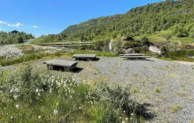 two picnic tables in a field next to a river at Amazing Home In Jøsenfjorden With Sauna in Gullingen