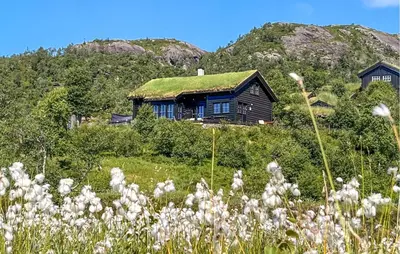 a house with a grass roof on top of a hill at Amazing Home In Jøsenfjorden With Sauna in Gullingen