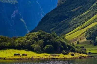 a view of a mountain with animals on a lake at Lindstrøm Hotel in Lærdalsøyri