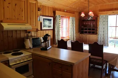 a kitchen with a stove and a counter top at Ådnebu by Norgesbooking - cabin with 3 bedrooms in Geilo