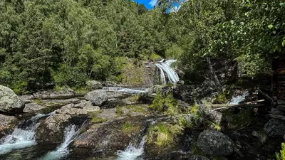 a waterfall in a forest with rocks and trees at Mjøsvang Kafe in Vang I Valdres