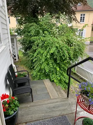 a stairway with two chairs and flowers and a bush at Høyanger 3 roms leilighet in Høyanger