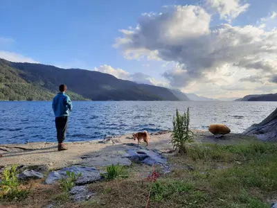 a man and a dog standing on the shore of a lake at Ropeid Fjordferie in Ropeid