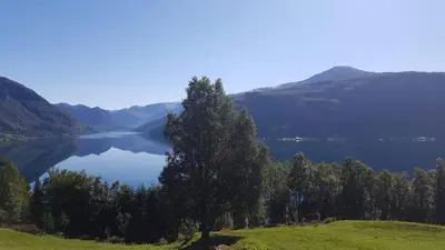 a tree on a hill next to a lake at Studio Apartment in Haukedalen in Førde
