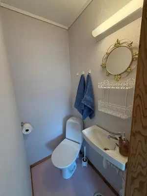 a bathroom with a toilet and a sink and a mirror at Studio Apartment in Haukedalen in Førde