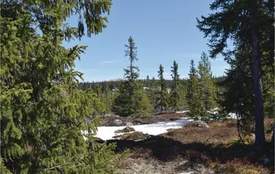 a view through the trees on a snowy trail at 3 Bedroom Amazing Home In Sjusjøen in Sjusjøen