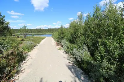 a dirt path next to a river with bushes at Måsåplassen Friisvegen Mountain Lodge in Ringebu