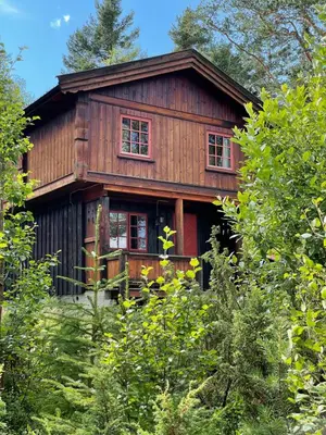 a wooden cabin in the middle of a forest at Måsåplassen Friisvegen Mountain Lodge in Ringebu