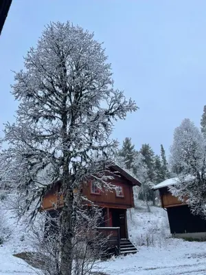 a cabin in the snow with a tree in the foreground at Måsåplassen Friisvegen Mountain Lodge in Ringebu