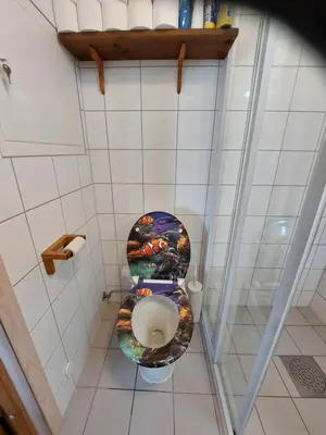 a bathroom with a toilet with a painting on the seat at Nystuen in Tyinkrysset