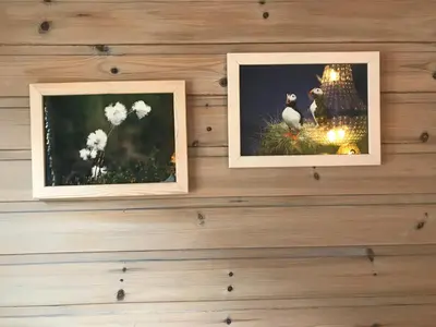 two framed photographs on a wall with flowers at Eidfjord Gjestgiveri in Eidfjord