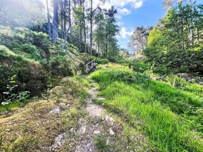a trail in the woods with a wooden bridge at Holiday Home Gule huset by Interhome in Bruntveit