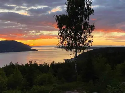 a sunset over a body of water with a tree at Villa Fjara sleeps 22 in 6 bedrooms in Ulven
