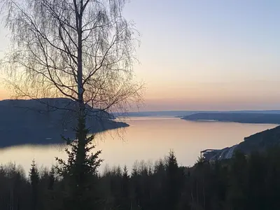 a tree sitting on top of a body of water at Villa Fjara sleeps 22 in 6 bedrooms in Ulven
