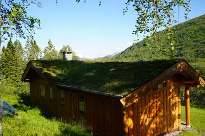 a building with grass on the roof of it at Langlofonna in Stranda