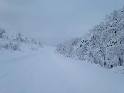 a snow covered mountain with trees on it at Nilsrud 30 Feriehus in Åmotsdal