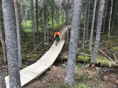 a person riding a bike on a wooden bridge in the woods at Lillebjørn in Trysil