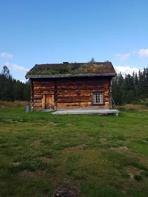 a log cabin with a grass roof on a field at Kvambekk Gard i Åmotsdal in Åmotsdal