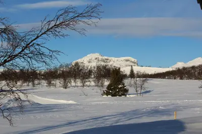a christmas tree in a snow covered field with a mountain at Lev-Vel - 10 person cabin in Ål