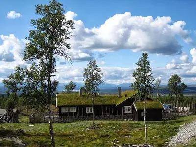 a house with a grass roof on a field at Luxembu - 4 bedroom cabin with a fantastic view in Gol