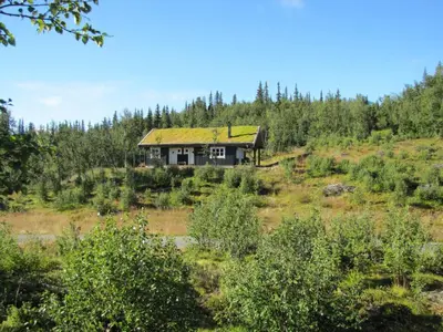 a house with a green roof on top of a hill at Linnaeus - 6 person cabin in Ål