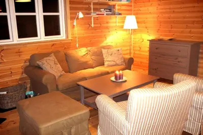 a living room with a couch and a table at Linnaeus - 6 person cabin in Ål