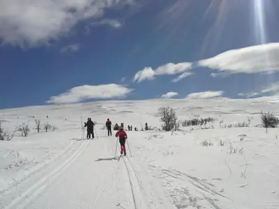 a group of people cross country skiing in the snow at Torpomoen in Torpo
