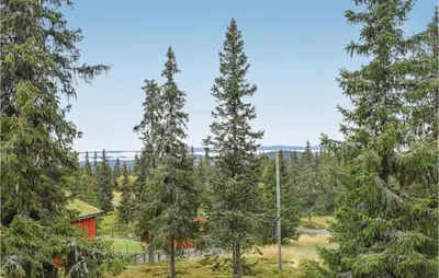 a red house in the middle of a forest of trees at Stunning Home In Sjusjøen With Kitchen in Sjusjøen